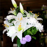 �l�`�̏t�� �~���E����D